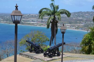 Tobago: Half-Day Highlights Tour