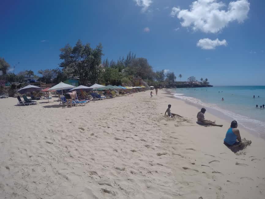 Tobago: Half-Day Highlights Tour - Crossing the island through small villages