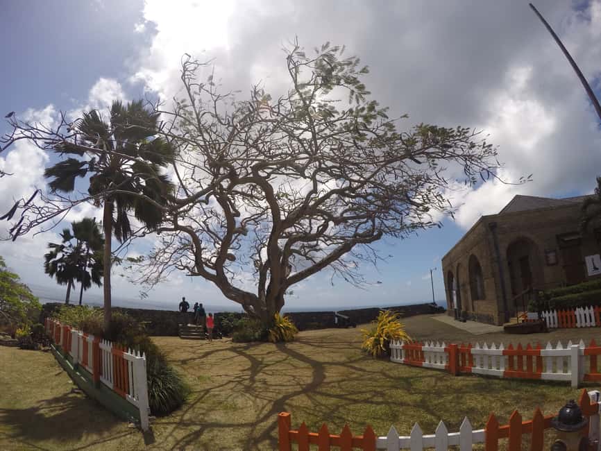 Tobago: Half-Day Highlights Tour - Store Bay closes the loop with beach time and local stalls