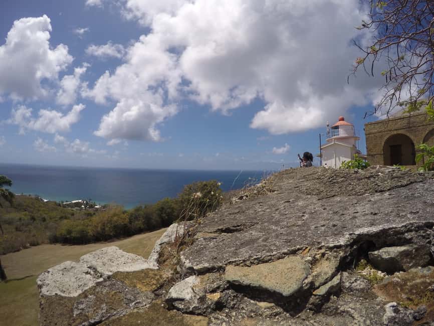 Tobago: Half-Day Highlights Tour - What the $80 price buys you