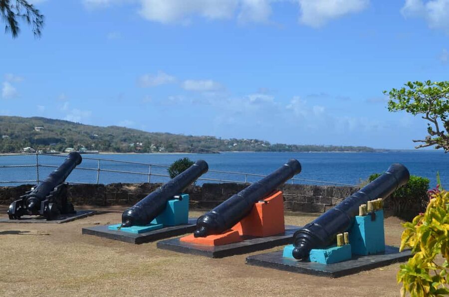 Tobago: Half-Day Highlights Tour - Practical timing and booking advice