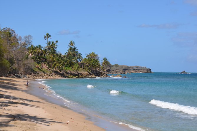 Tobago Island Tour - Key points to know before booking