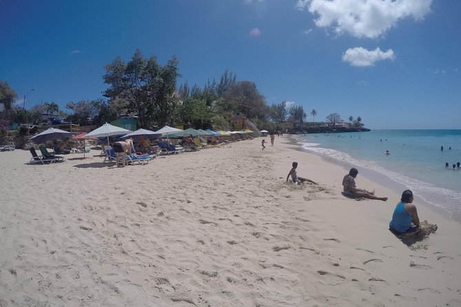 Tobago Island Tour - Why this Tobago island tour works as a first-day overview