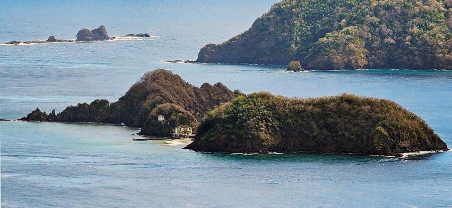 Tobago: Little Tobago Bird Sanctuary Visit and Boat Tour - What makes this Tobago day trip special
