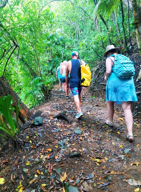 Tobago: Little Tobago Bird Sanctuary Visit and Boat Tour - Snorkeling at Goat Island