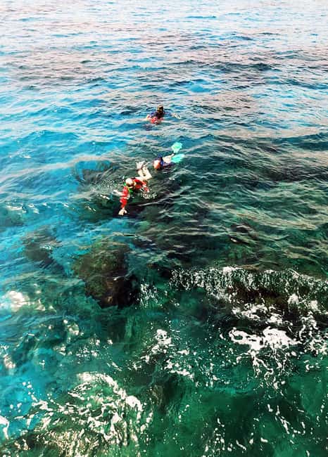 Tobago: Little Tobago Bird Sanctuary Visit and Boat Tour - Transport, guides, and how the day runs