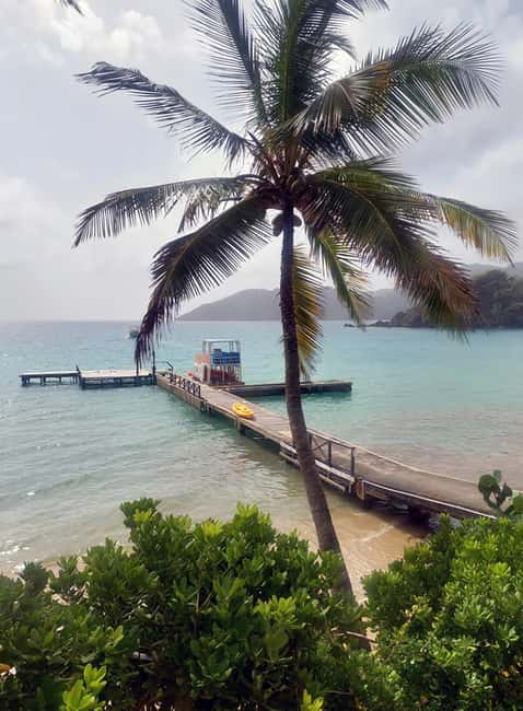 Tobago: Little Tobago Bird Sanctuary Visit and Boat Tour - From Speyside to the reef by glass-bottom boat