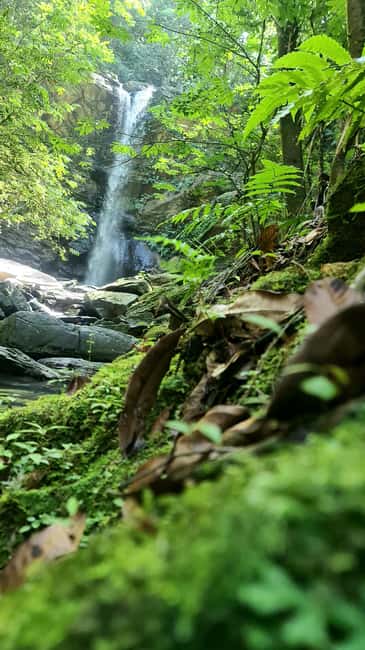 Trinidad: Avocat Waterfall and Maracas Bay Beach Tour - Swimming beneath the falls