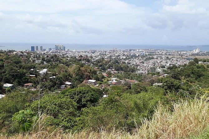 Trinidad Highlights and Scenic Drive Tour - Lady Young Lookout gives you the big picture