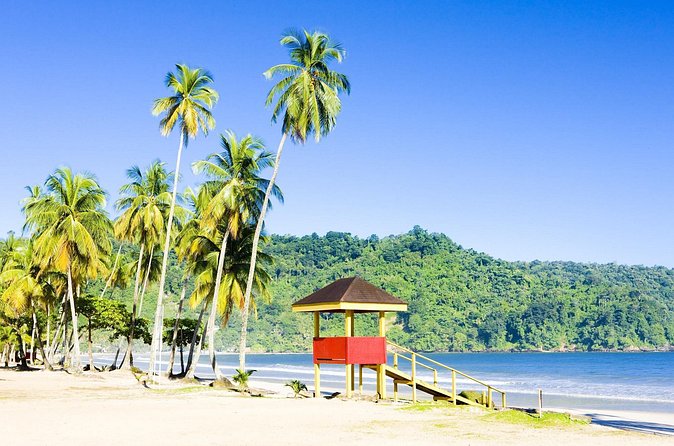 Trinidad Highlights and Scenic Drive Tour - Maracas Lookout and the first coastal view