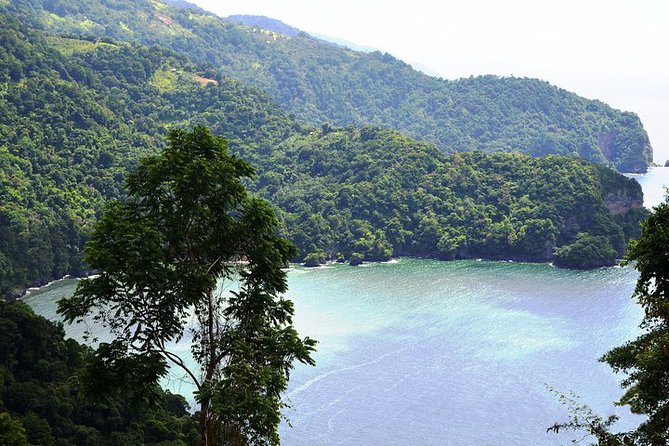 Trinidad Highlights Tour from Port of Spain - A short walk through the Royal Botanical Gardens