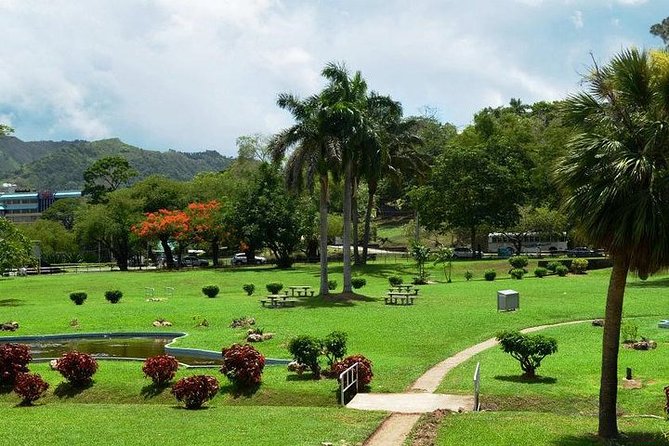 Trinidad Highlights Tour from Port of Spain - The North Coast Road and Maracas Lookout