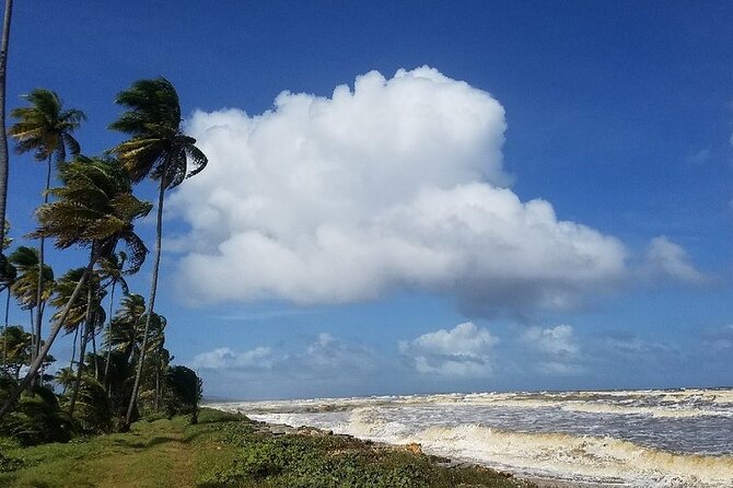 Trinidad Island Circle Tour with Pickup - Across central Trinidad toward the east