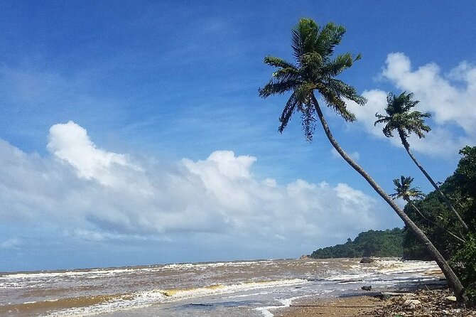 Trinidad Island Circle Tour with Pickup - Manzanilla’s beach, mangroves, and turtle country