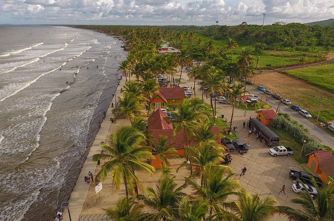 Trinidad Island Circle Tour with Pickup - The return to Port of Spain