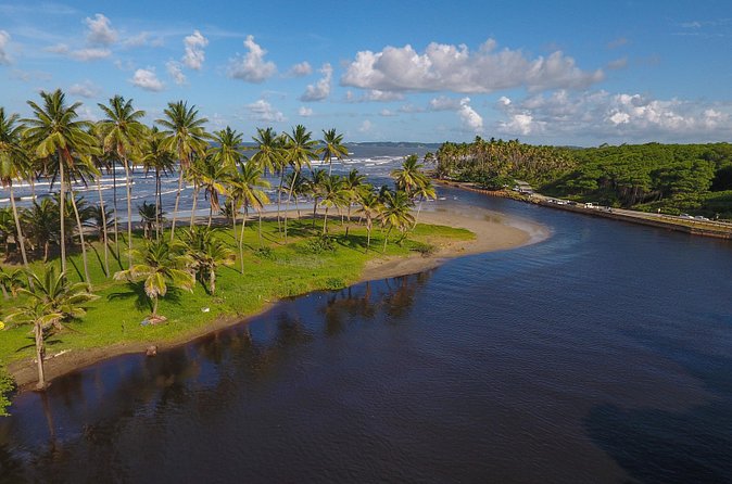 Trinidad Island Circle Tour with Pickup - The guides make the biggest difference