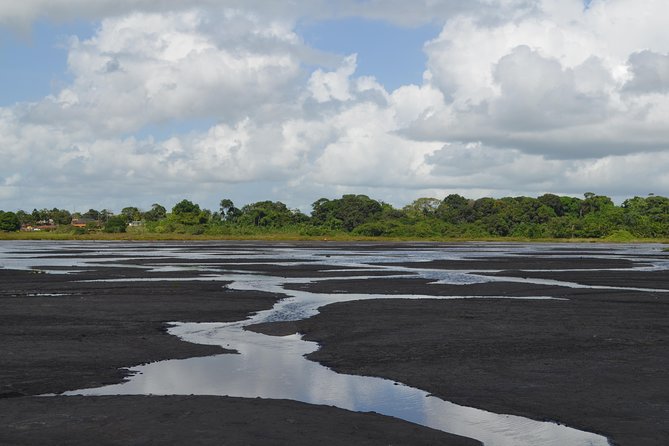 Trinidad Island Sightseeing Tour: Pitch Lake and Chaguanas - Why Pitch Lake makes this southern Trinidad trip different