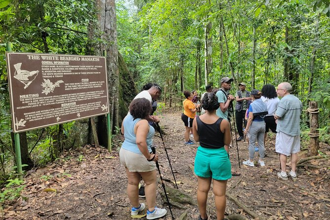 Trinidad Nature and Asa Wright Center Full-Day Tour from Port of Spain - Leaving Port of Spain for the Northern Range