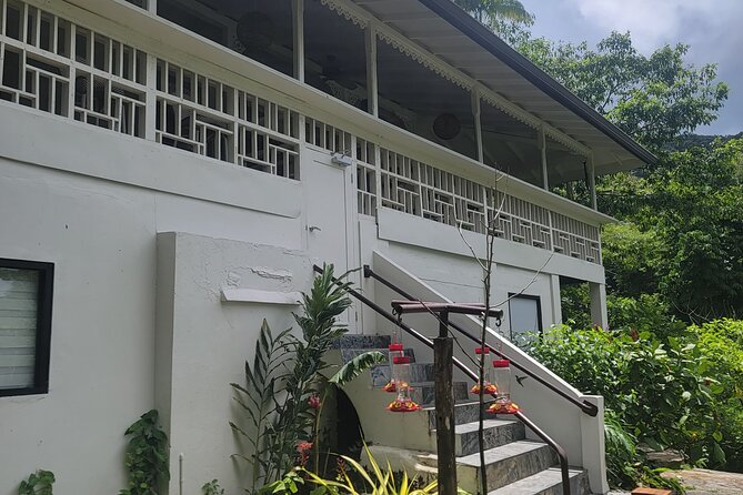 Trinidad Nature and Asa Wright Center Full-Day Tour from Port of Spain - What the $230 price really buys you