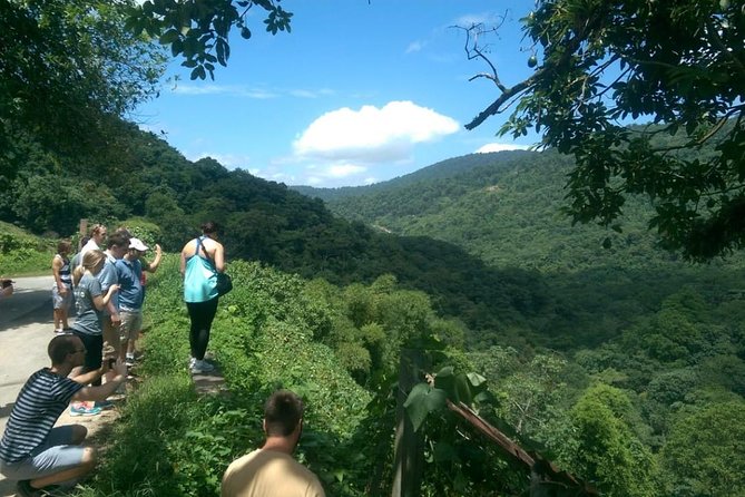 Trinidad Nature and Asa Wright Center Full-Day Tour from Port of Spain - The guided rainforest walk