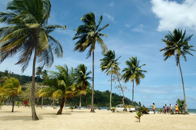 Trinidad Northern Eco-Cultural Full-Day Highlights Tour from Port of Spain - Is $125 a fair price?