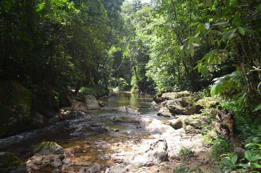 Trinidad: Rainforest Hike to Avocat Waterfall - Key points to know before booking