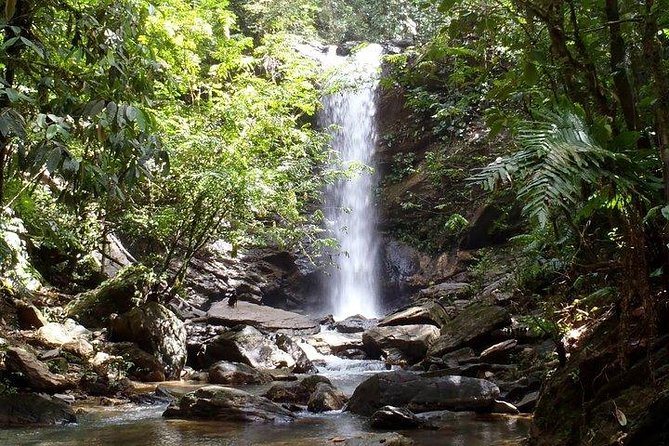 Trinidad Rainforest Hike to Waterfall - Key points to know before booking
