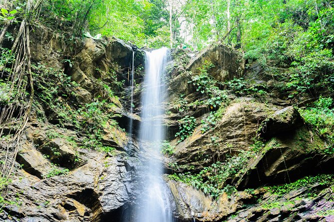 Trinidad Rainforest Hike to Waterfall - What the $115 price really covers