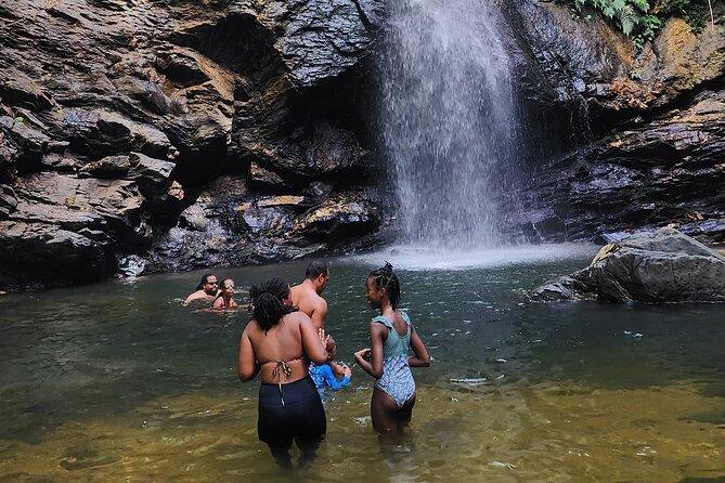 Trinidad Rainforest Hike to Waterfall - Guides who shape the experience