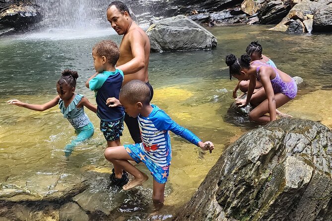 Trinidad Rainforest Hike to Waterfall - Who should book this rainforest day