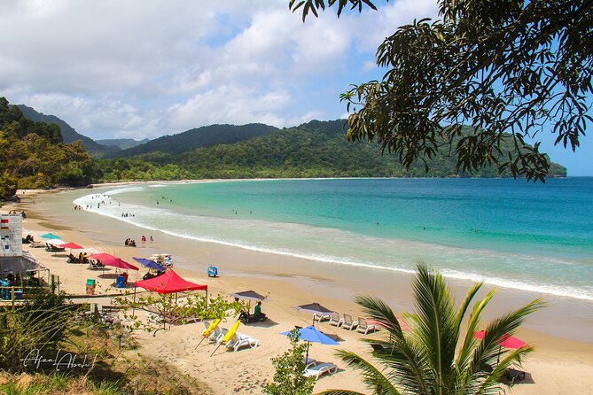 Trinidad True North Coast Excursion - Key points to know before booking
