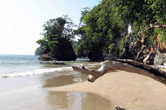Trinidad True North Coast Excursion - Las Cuevas and a longer stretch of sand