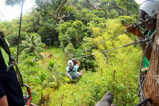 Trinidad Zipline Adventure - Key points to know before you go