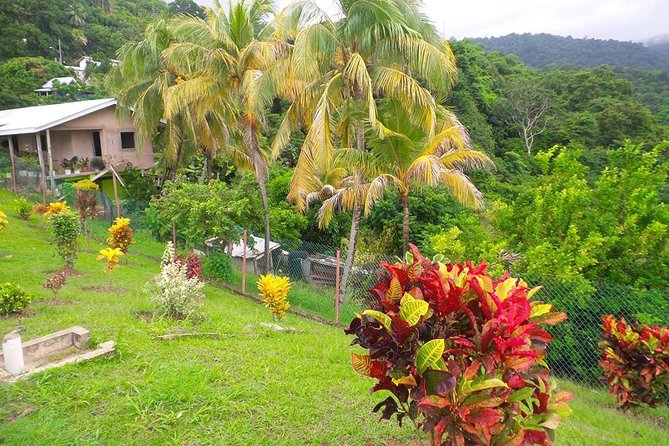 VIP Inclusive Private Tour of Island (Lunch, Drinks + Snorkeling) - Speyside views toward Goat Island and Paradise Island