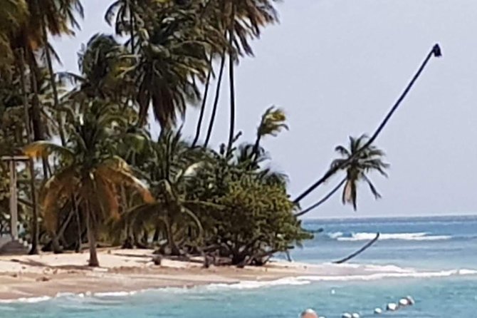 VIP Inclusive Private Tour of Island (Lunch, Drinks + Snorkeling) - Pirates Bay is the main event
