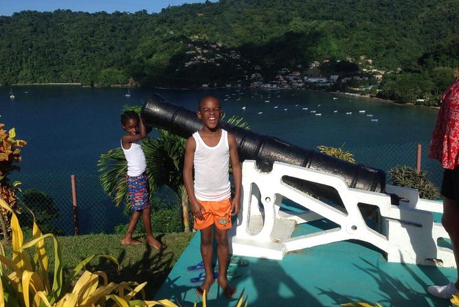VIP Inclusive Private Tour of Island (Lunch, Drinks + Snorkeling) - What the $300 price includes
