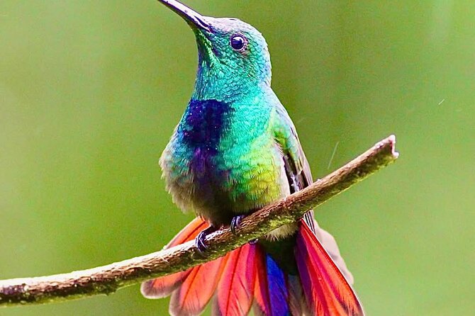 Yerette Home of the Hummingbird - Private booking changes the atmosphere and the price
